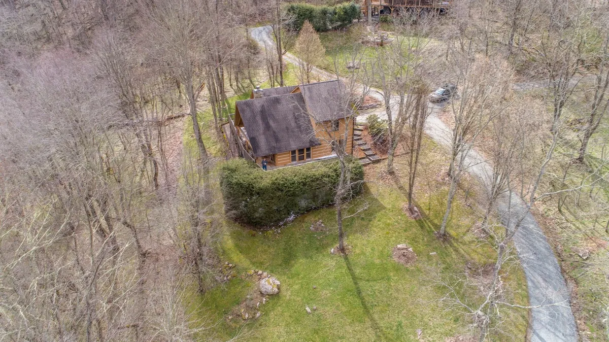 The wooden cabin is framed by trees and a driveway, evoking the atmosphere of arriving at a retreat in the woods. The wide view captures the cabin’s setting in the landscape, ideal for yard games, outdoor gatherings, or letting kids and pets play under supervision.